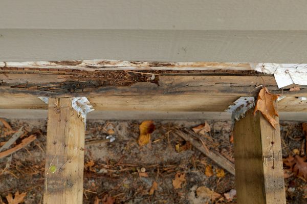 Aurora Wood Rot Repair