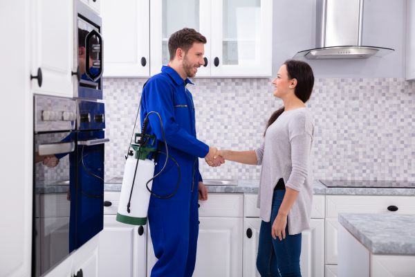 Aurora Pest Control Service