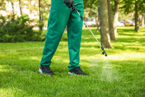 Aurora Lawn Treatment