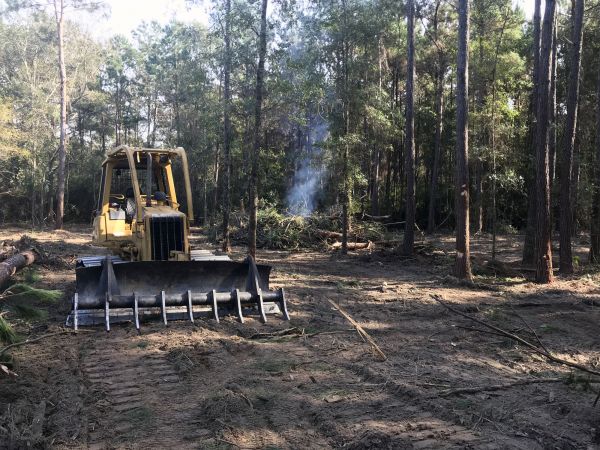 Aurora Land Clearing